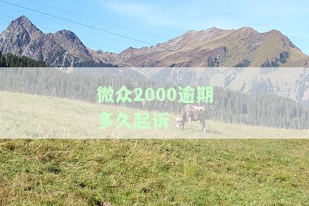 微众2000贷款逾期解决方法全攻略