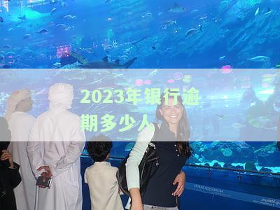 2020年银行逾期未还贷款的有多少人，揭示2020年银行业逾期未还贷款人数数据
