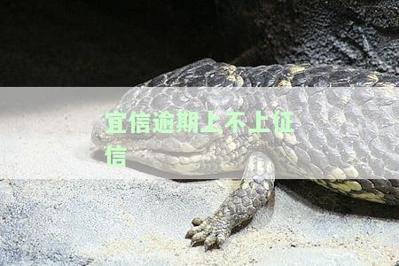 宜信逾期上不上征信了，宜信逾期是否会上征信？你需要知道的一切