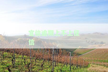 宜信贷款不还上不上征信宜信贷款不还上征信吗，宜信贷款逾期未还会被记录在个人征信中吗？