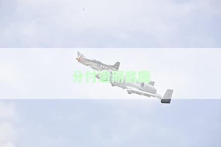 分付逾期截图-分付逾期截图可以用吗