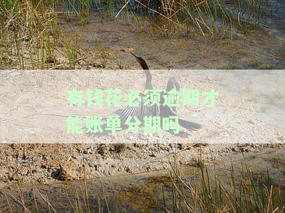 有钱花必须分期还吗？是否需要还款及能否再次借款解析
