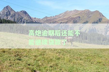 高炮逾期后还能不能继续贷款了-高炮逾期以后还能贷到款吗?