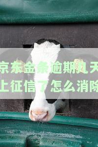 京东金条逾期多久能恢复信用记录？逾期天数与上征信的关系