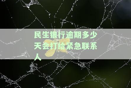 民生银行逾期十天会不会被打电话催收，民生银行：逾期十天是否会被电话催收？