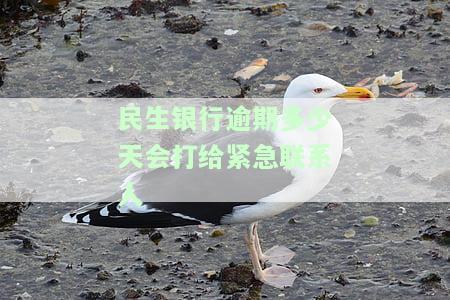 民生银行逾期多少天会打给紧急联系人-民生银行逾期多少天会打给紧急联系人电话