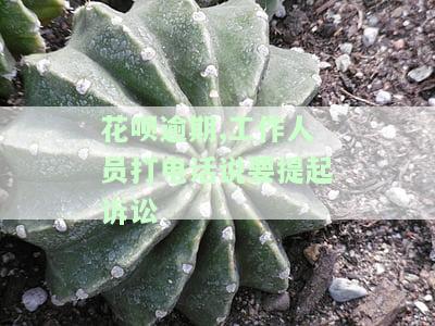 花呗逾期，工作人员电话称将提起诉讼，如何应对？