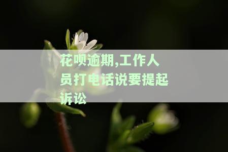 花呗逾期,工作人员打电话说要提起诉讼
