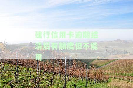 建行信用卡逾期结清后有额度却无法使用：原因与解决办法
