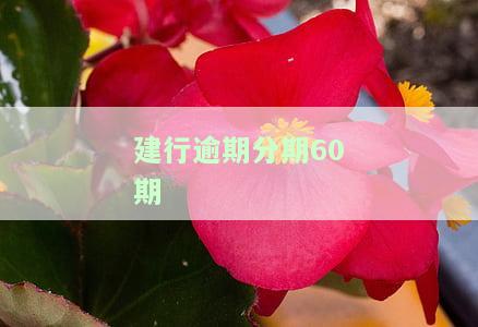 建行逾期分期60期中途断了怎么办，建行信用卡逾期分期60期，如果中途断了应该怎么办？