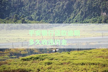 平安银行贷款逾期多久收违约金？如何计算及处理？
