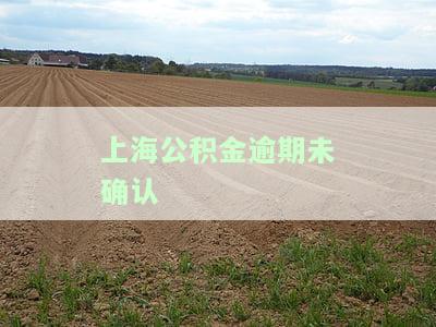 上海公积金后缴纳是咋回事，上海公积金后缴纳政策解析