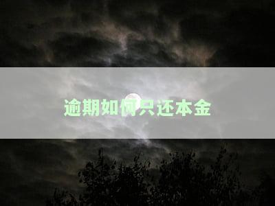 逾期只还本金：可行、会被起诉、有何影响？