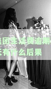 美团生活费逾期一天是否将无法再使用？