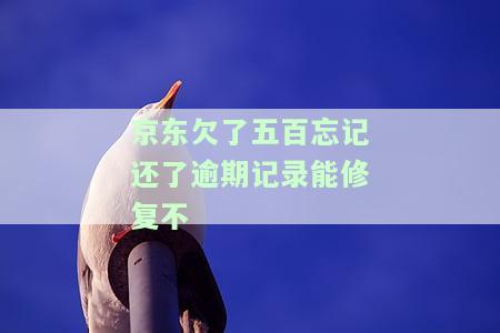 京东逾期5000吹我两天必须还钱不然起诉我，京东催债：逾期5000元，被威胁两天内还款否则将被起诉