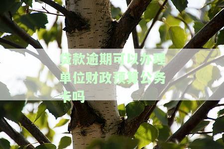 征信逾期对办理公务卡有影响吗？