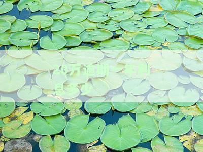20万逾期一年利息多少合法，咨询：20万逾期一年的合法利息是多少？