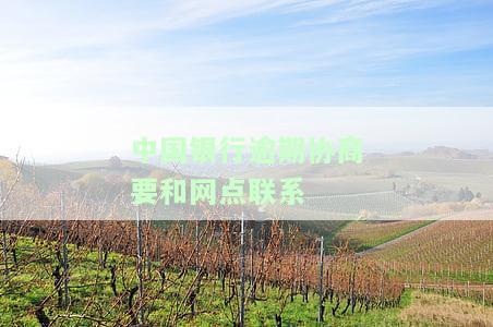 中国银行协商还款后,突然来到公司说我还欠钱，中国银行协商还款后，为何又突然到公司催收欠款？