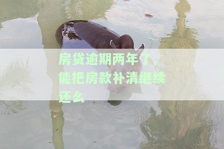 房贷逾期两年了怎么办，房贷逾期两年了，应该如何处理？