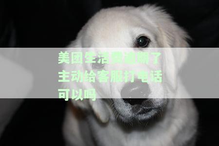 美团生活费逾期了主动给客服打电话可以吗，美团生活费逾期后，主动联系客服是否可行？