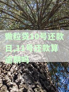 微粒贷9号还款日, 10号还一天可以吗?
