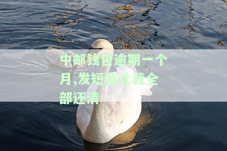中邮钱包逾期一个月会被上门催收么，中邮钱包逾期一个月是否会遭上门催收？