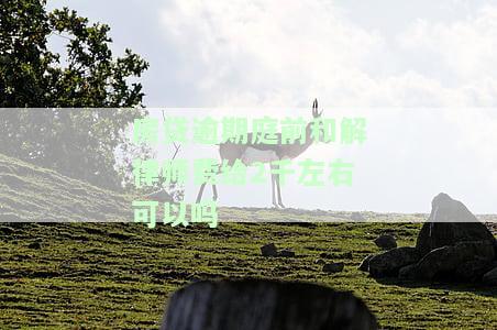 房贷逾期庭前和解律师费给2千右可以吗-房贷逾期庭前和解律师费给2千右可以吗合理吗