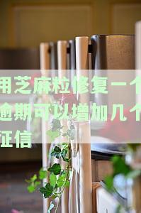 芝麻粒可以修复逾期记录吗，芝麻粒能修复逾期记录吗？答案在这里！