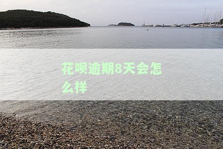 花呗逾期8天了，现在还款还有用吗？