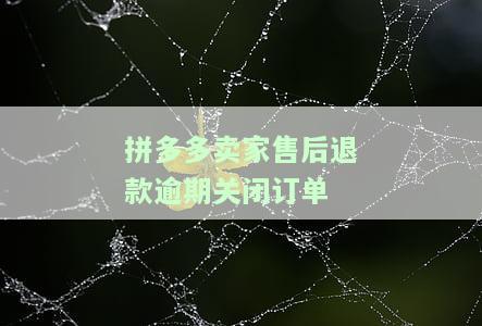 拼多多卖家售后退款逾期关闭订单-拼多多卖家售后退款逾期关闭订单怎么办