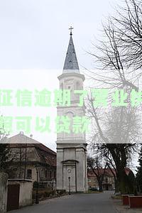 个人征信有逾期可以办营业执照吗，逾期会影响营业执照办理吗？个人征信问题解析