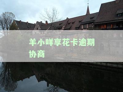 羊小咩享花卡逾期协商