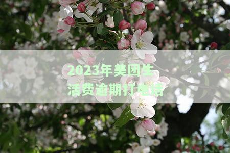 美团生活费逾期打电话来不接会怎么样，美团生活费逾期未接听电话的后果是什么？