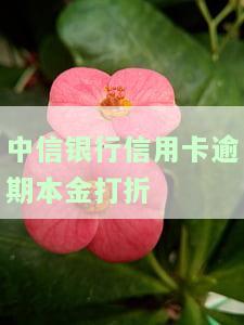 2021年中信银行信用卡逾期新法规，2021年最新中信银行信用卡逾期法规解读