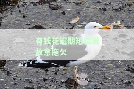 有钱花逾期短信：故意拖欠我钱，是否真实？该如何处理？