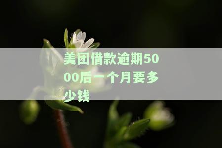 美团借款逾期5000后一个月要多少钱