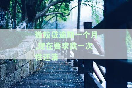 微粒贷逾期一个月，现要求一次性还清，如何应对？