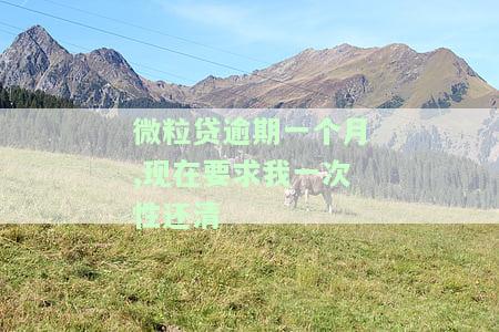 微粒贷逾期一个月还进去后还能继续使用么，微粒贷逾期一个月还款后，能否继续正常使用？