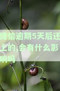 捷信逾期五天，真的会通知紧急联系人吗？