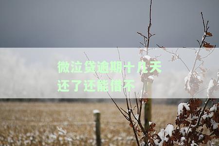 微贷款逾期多久会被告？上征信的时间是多久？借款逾期的后果是什么？