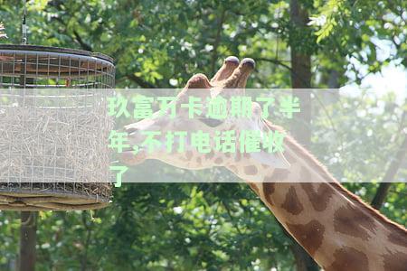 玖富万卡逾期半年未接催收电话，可能面临何种后果？