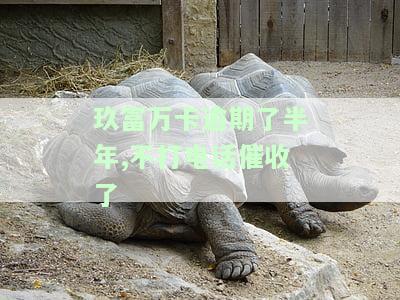 玖富万卡逾期了半年,不打电话催收了，玖富万卡逾期半年未被电话催收，平台采取何种措？