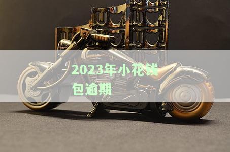 2023年小花钱包逾期会怎么样，2023年小花钱包逾期后果解析