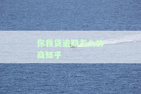 你我贷逾期怎么协商知乎-你我贷有协商期成功的吗