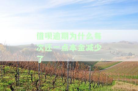 借呗逾期还款：只还一点是否会被起诉？