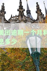 美团逾期几千块，一个月会怎样？是否会被告上法庭？