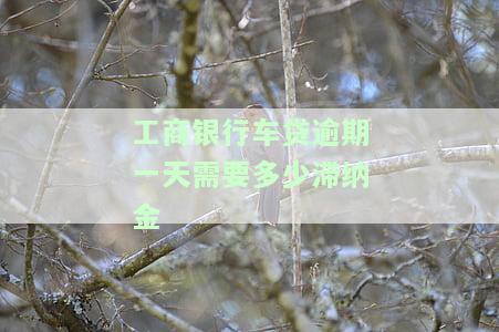工商银行车贷逾期一天需要多少滞纳金呢，查询工商银行车贷逾期一天的滞纳金数额