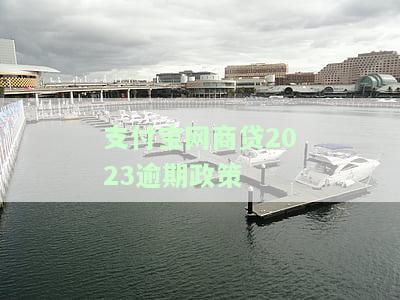 支付宝网商贷2023逾期政策最新，2023年最新！支付宝网商贷逾期政策大揭秘