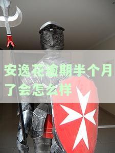 '安逸花逾期半个月了会有什么后果？能否取出已还款金额？'