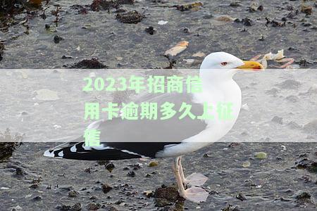 2023年招商信用卡逾期多久上征信啊，2023年招商信用卡逾期时间会影响个人征信吗？